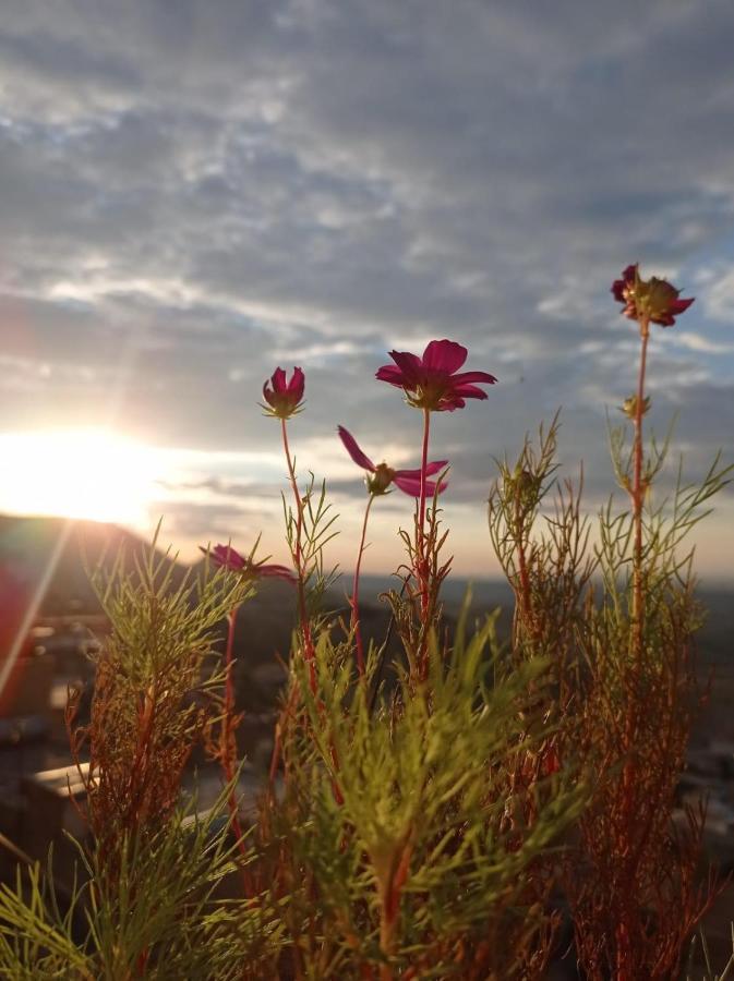 Merdin Boutique Hotel Mardin Bagian luar foto